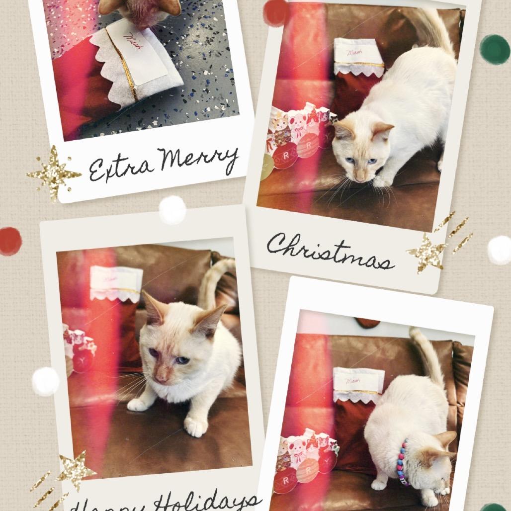 Micah — thumbnail 5