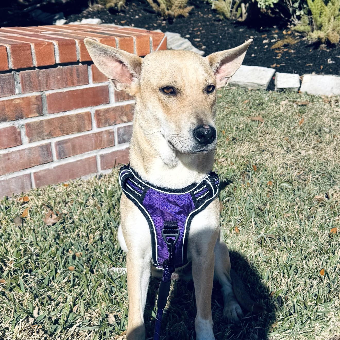 Natalie — thumbnail 3