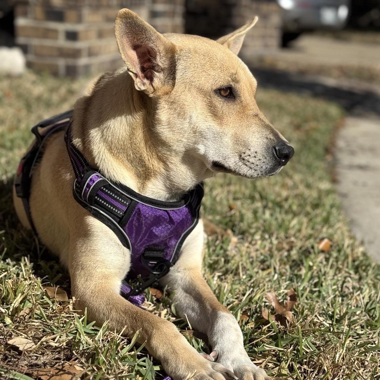 Natalie — thumbnail 5