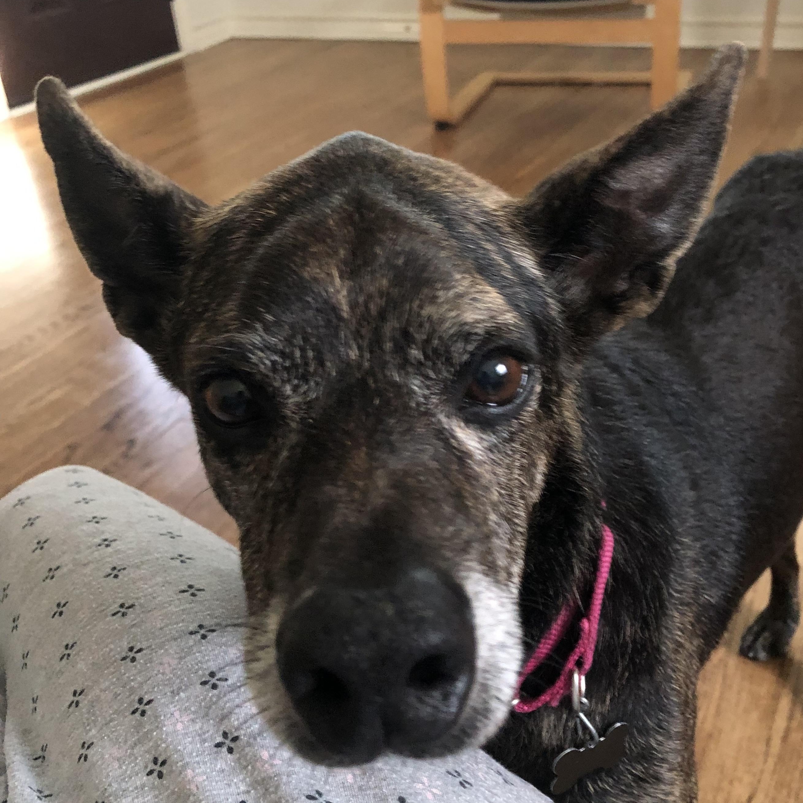 Danny and Wally — thumbnail 3