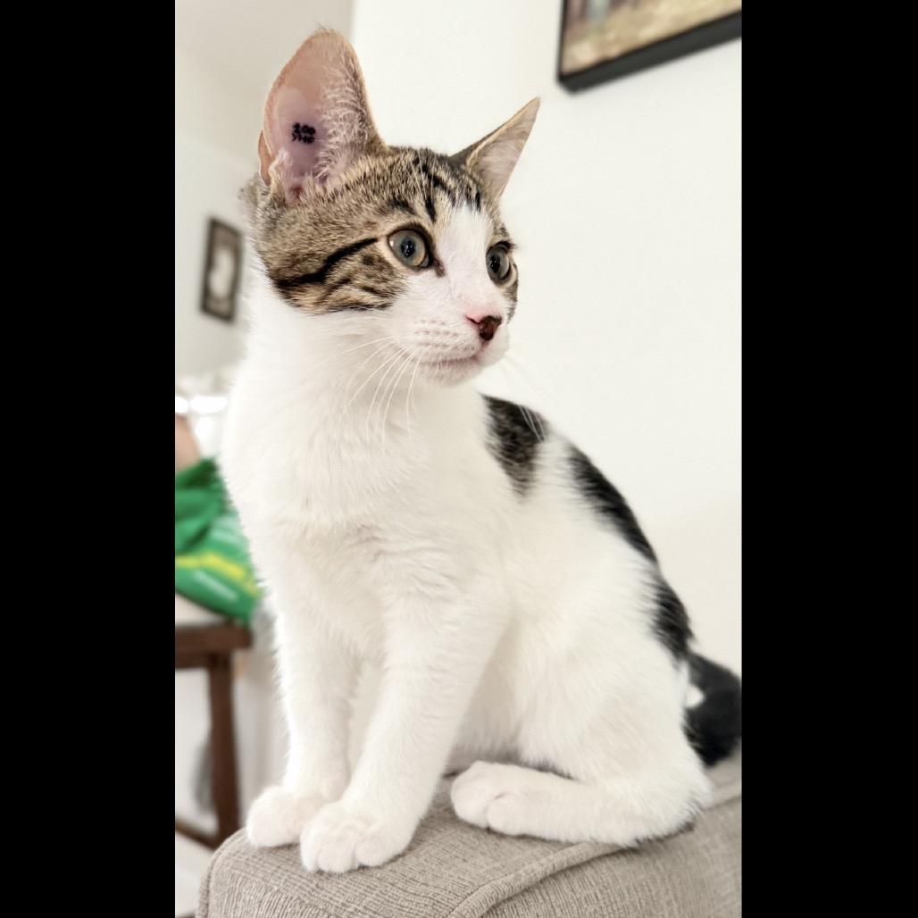 April, Baby Male unknown