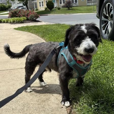 Bentley