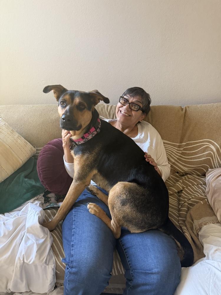 Linda, a Adoptable mixed breed in los angeles, CA image 1/5