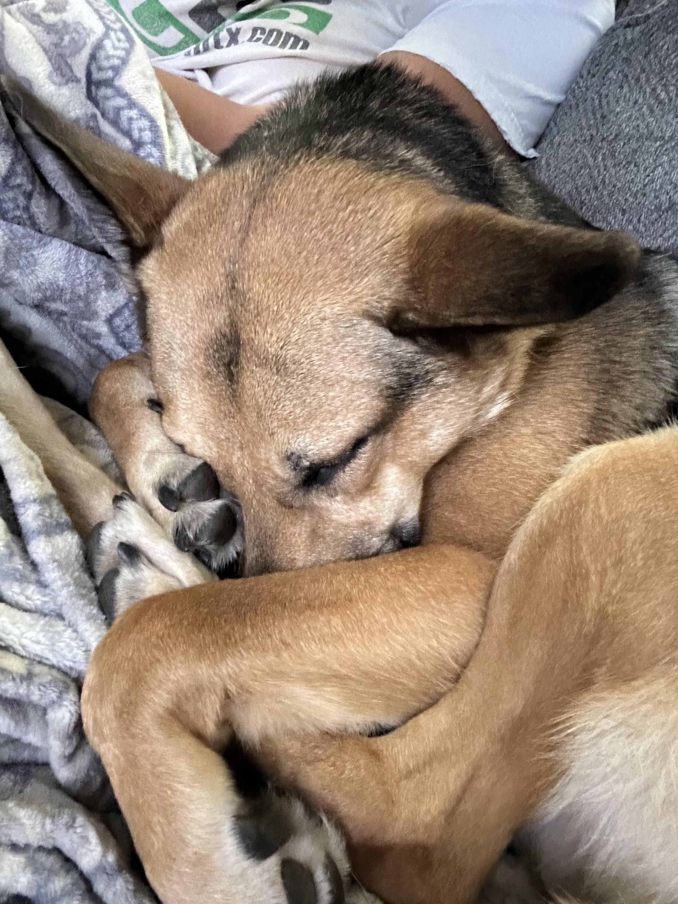 Independence — thumbnail 5