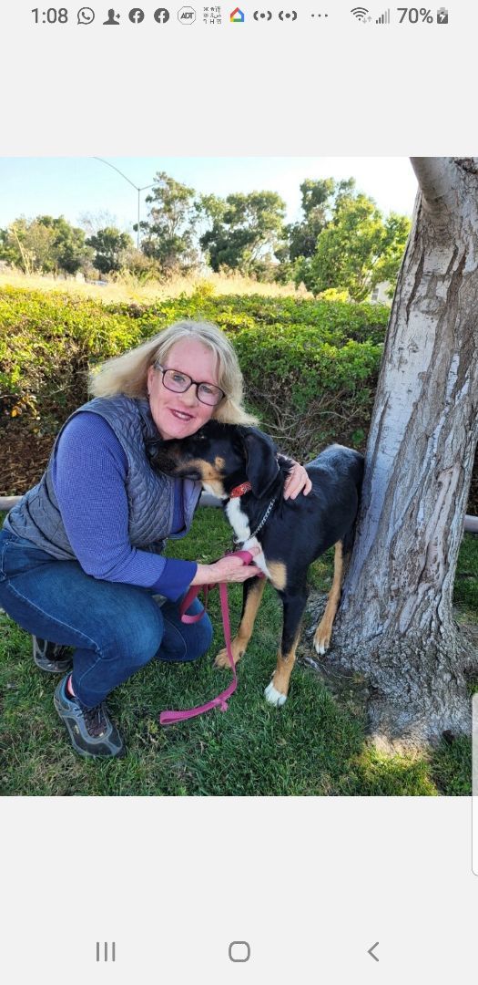 Enlarge Social Hound Mix EMERY for Adoption, a Adopted mixed breed in Oakland, CA image 5/5