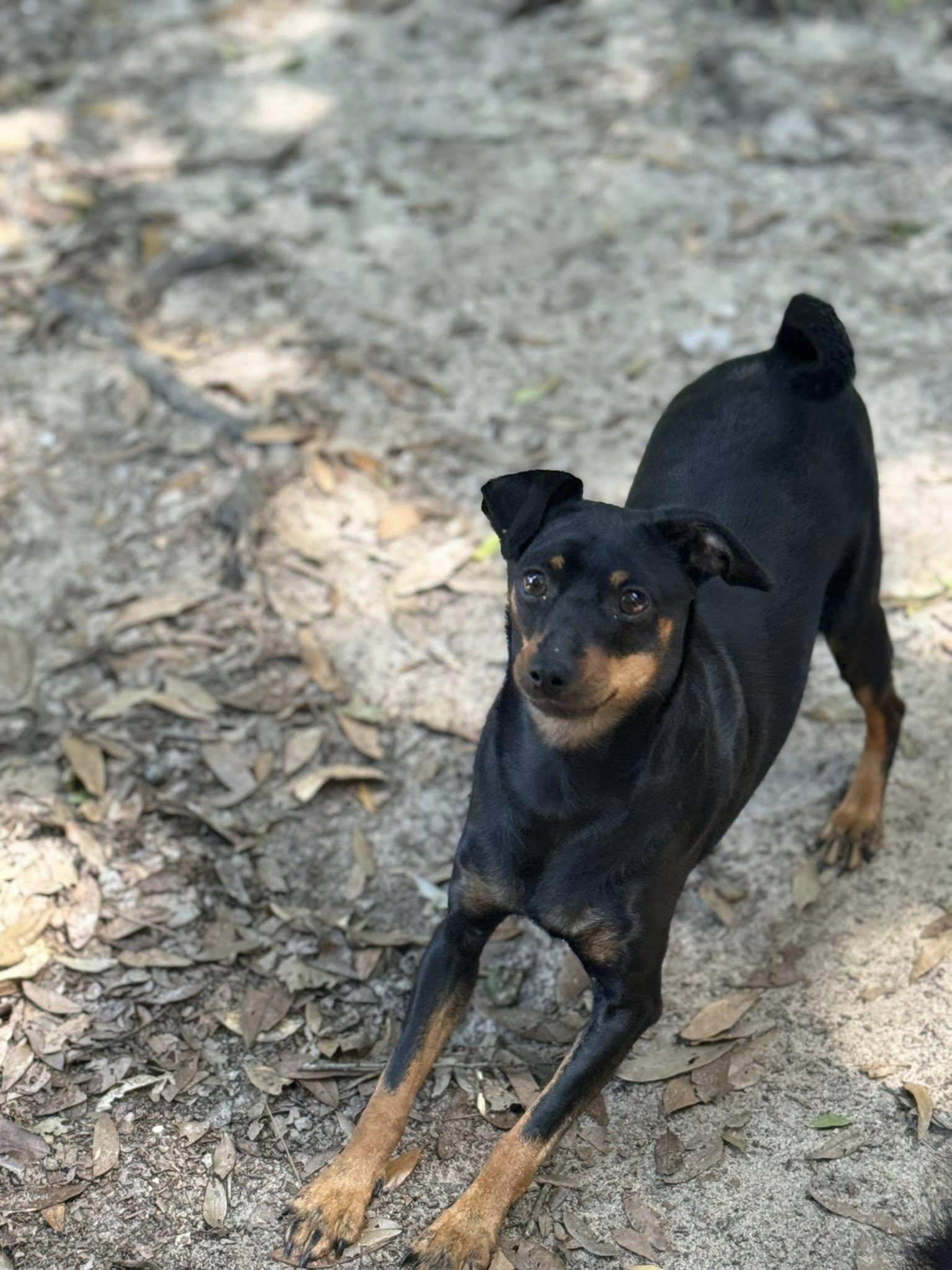 Mali