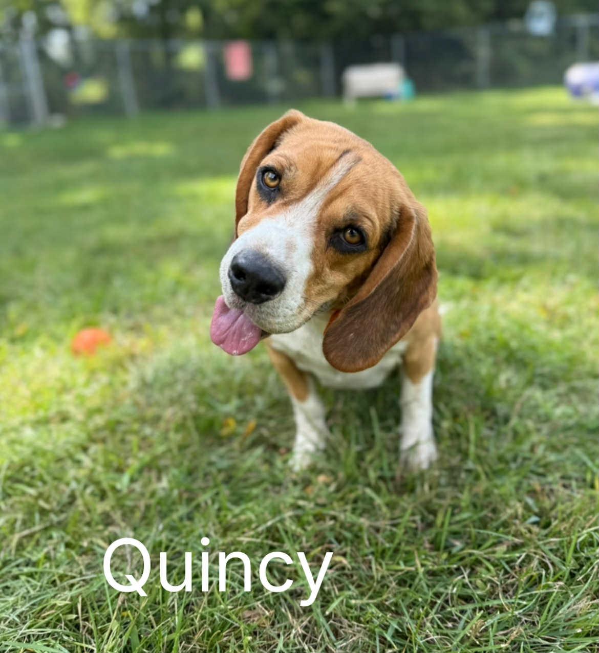 Quincy