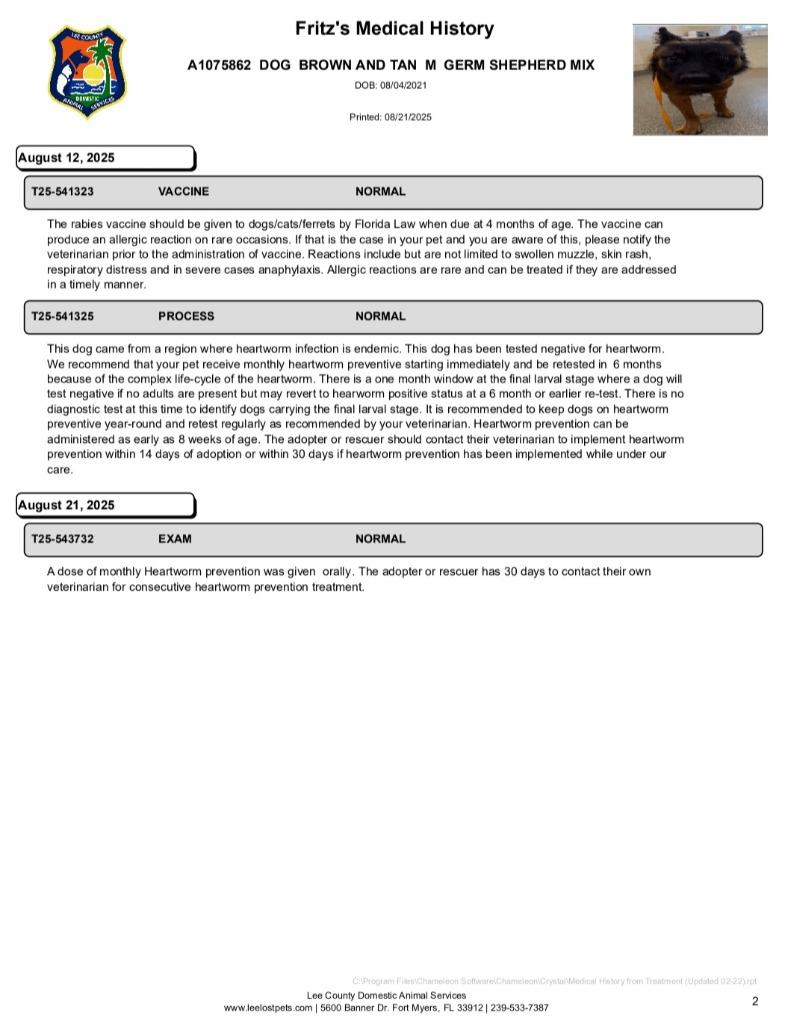 Fritz — thumbnail 2