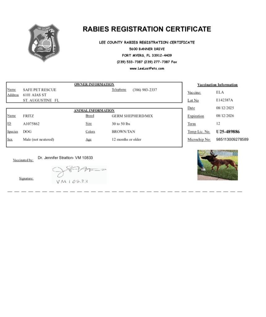 Fritz — thumbnail 3