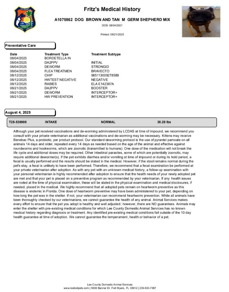 Fritz — thumbnail 5