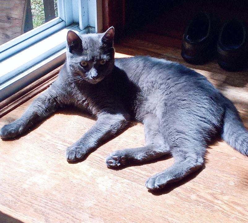 Clarence photo 2