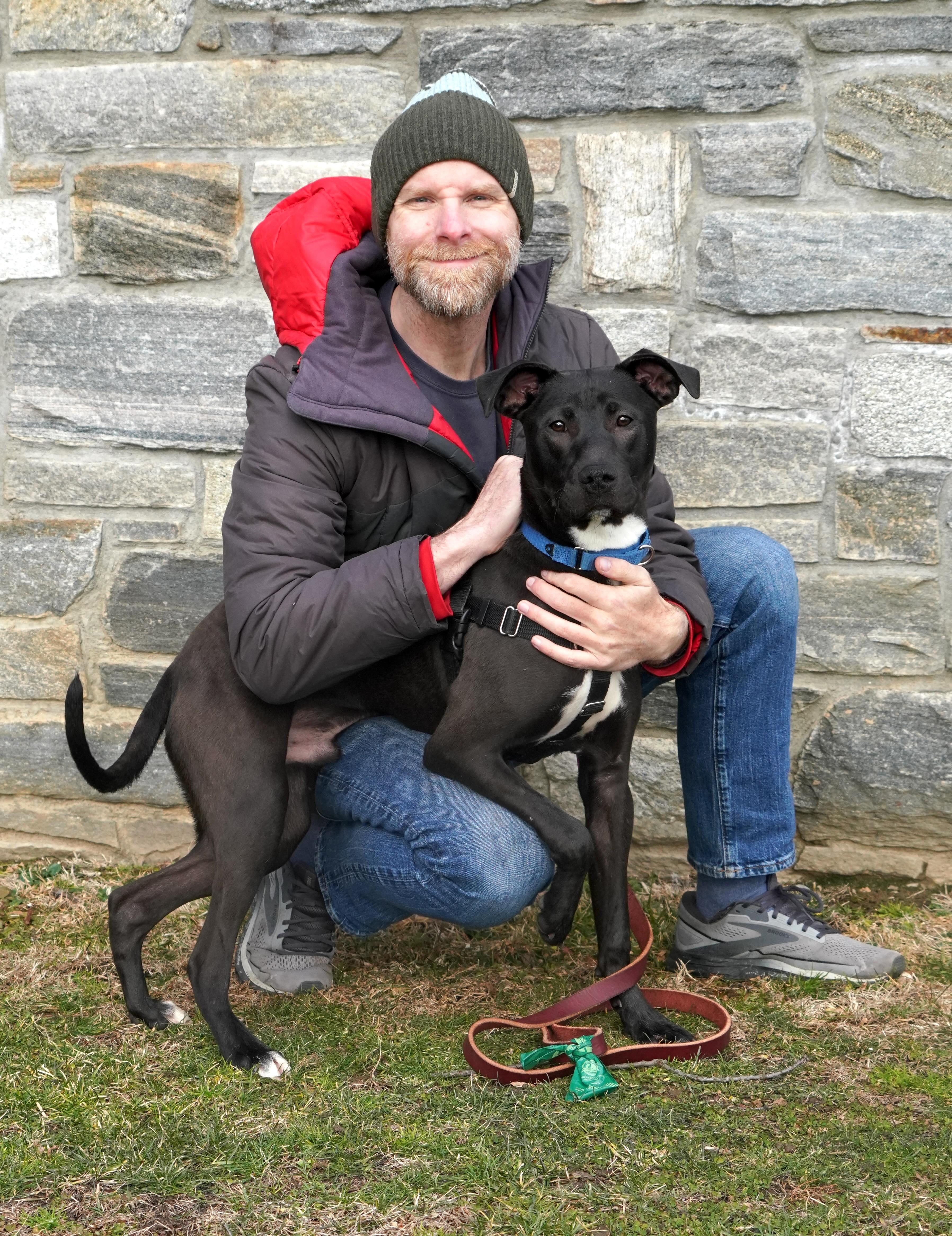 Enlarge Nico, a Adoptable mixed breed in New Rochelle, NY image 4/5