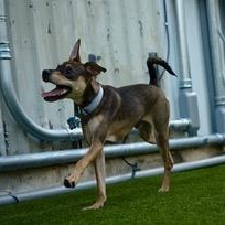 John Boy — thumbnail 2