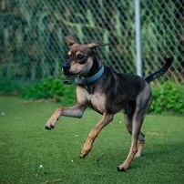 John Boy — thumbnail 6