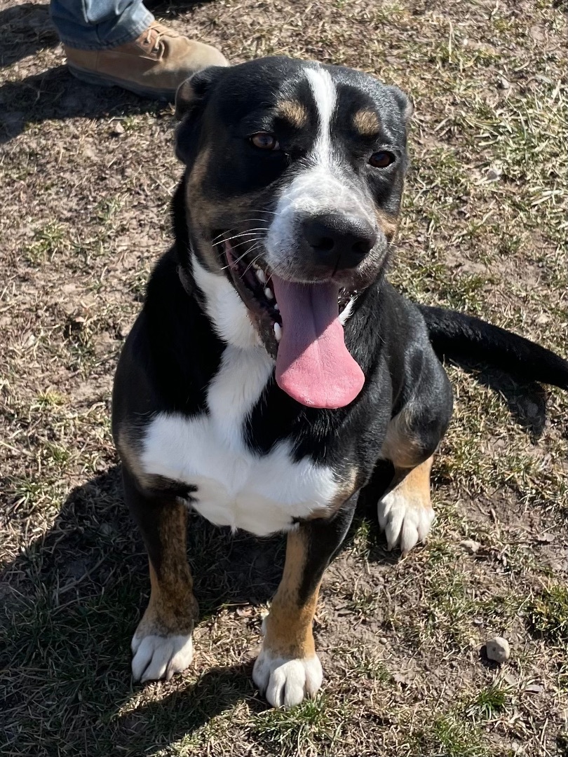 Leo