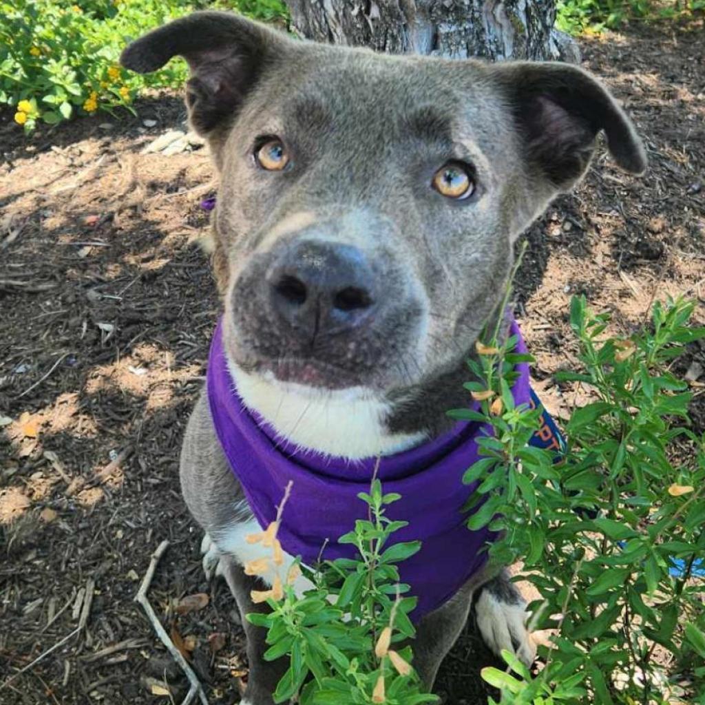 Maxine Jum thumbnail 6