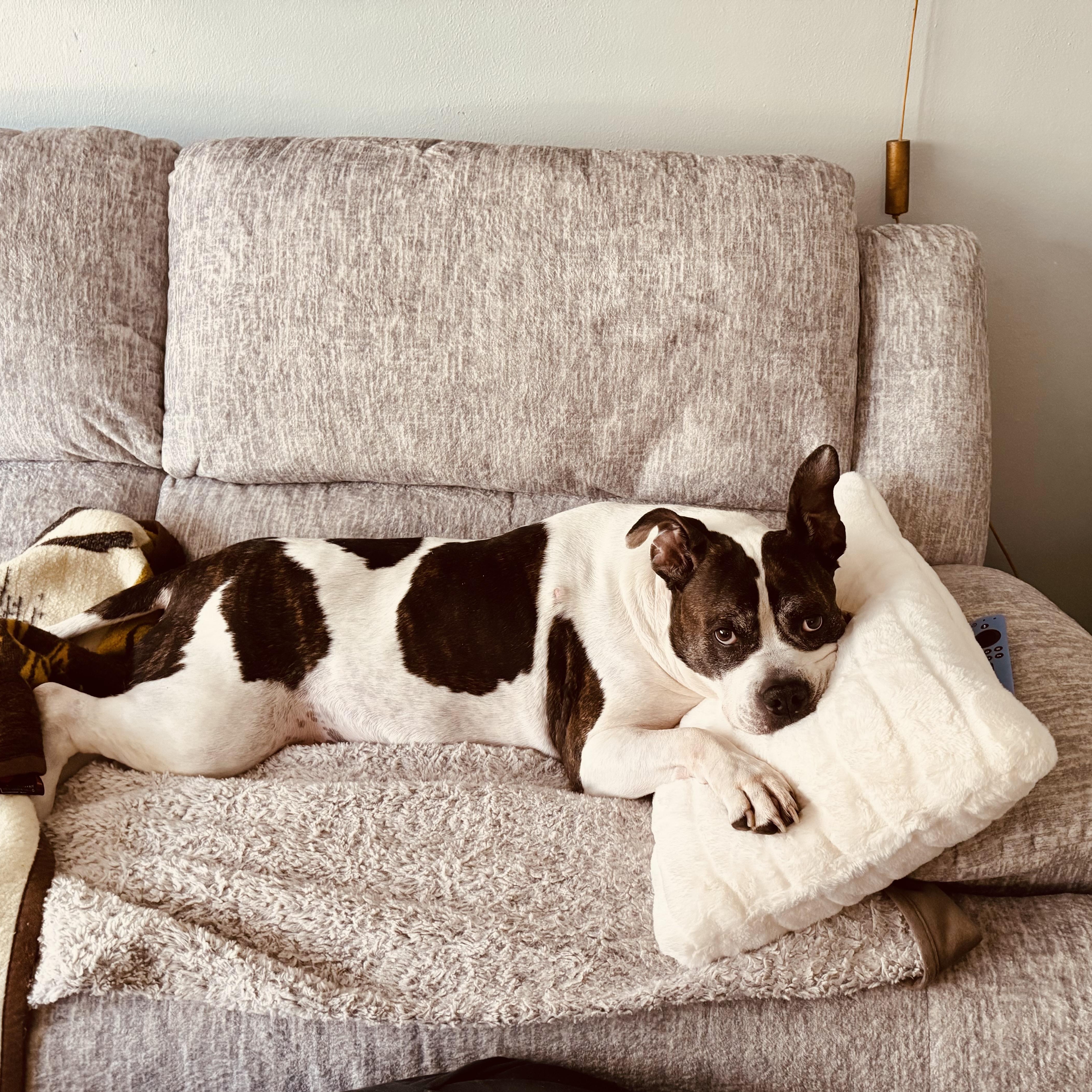 ***COURTESY LISTING*** Lucky — thumbnail 4