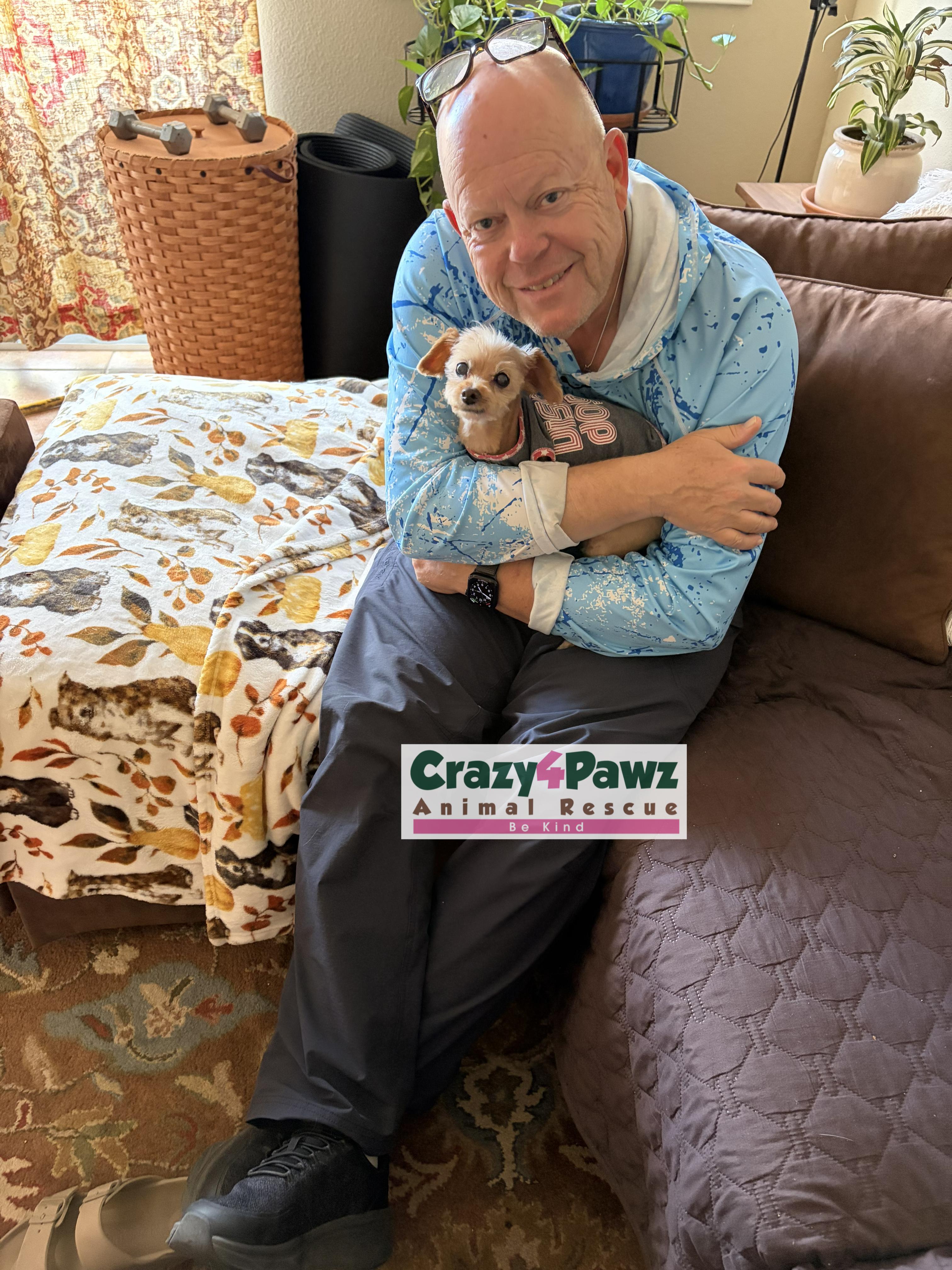 Enlarge Princess, a Adoptable Yorkshire Terrier in Henderson, NV image 4/5