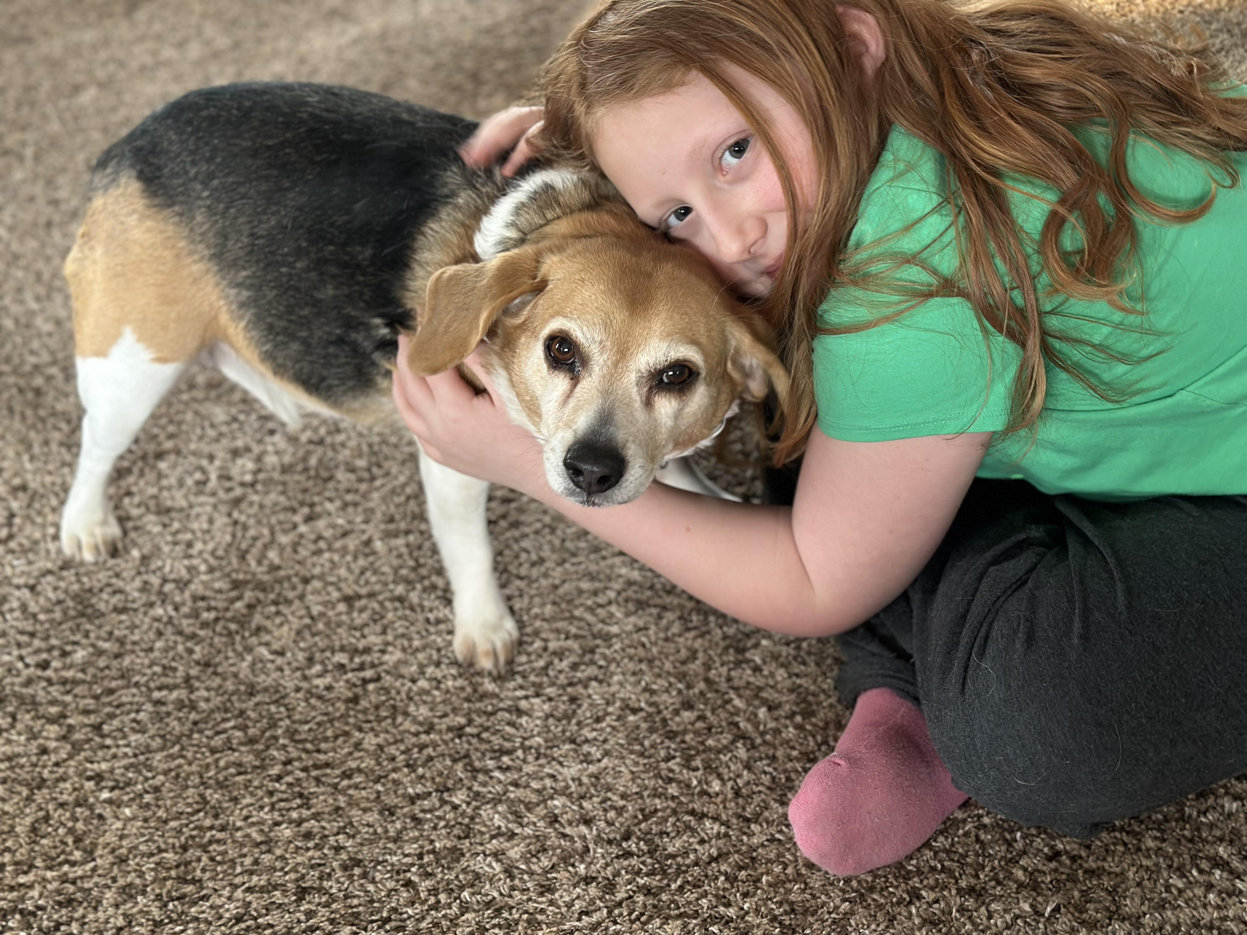 Enlarge Candy, a ADOPTABLE Beagle in Creston, IA image 2/5