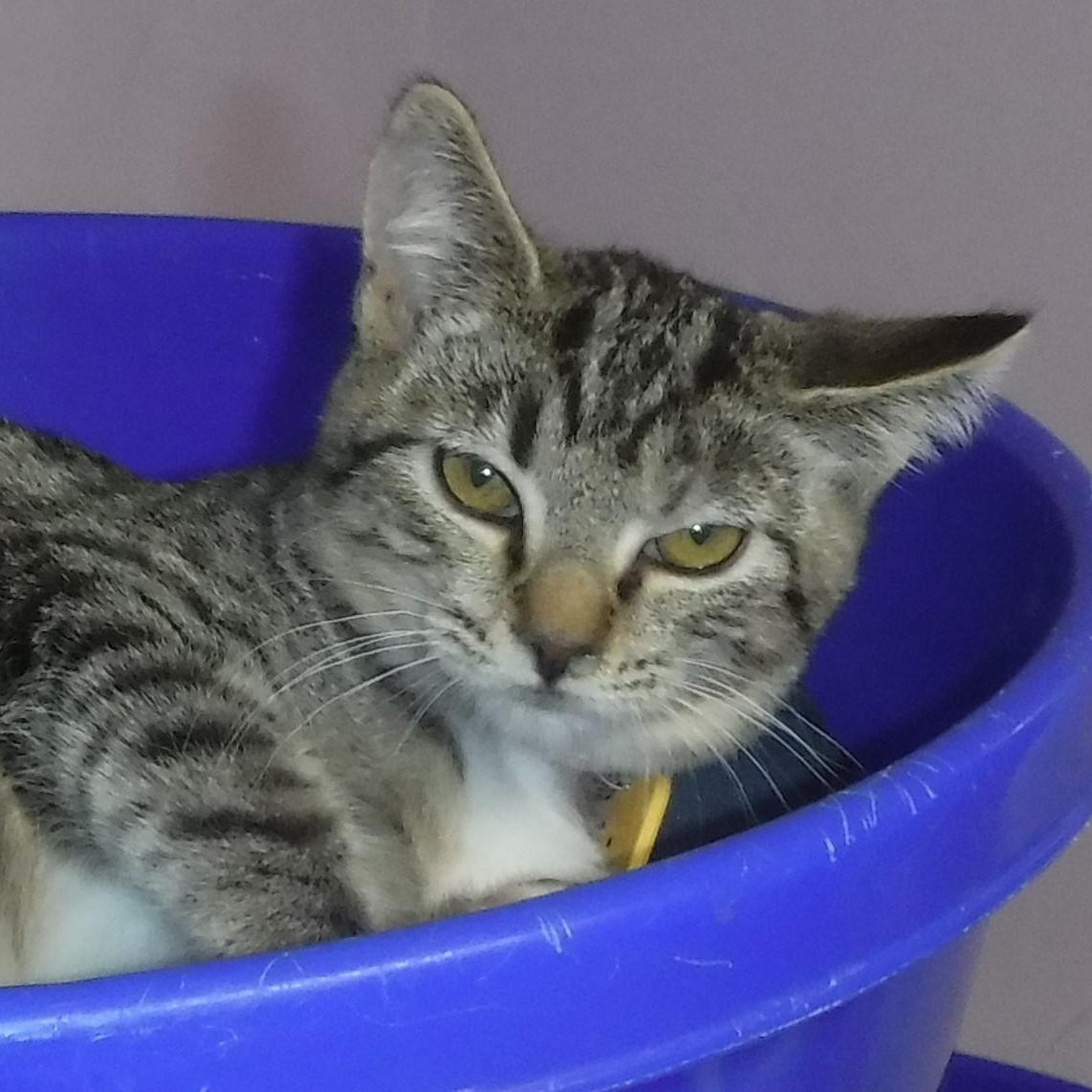 Denny  Sweet Boy thumbnail 3