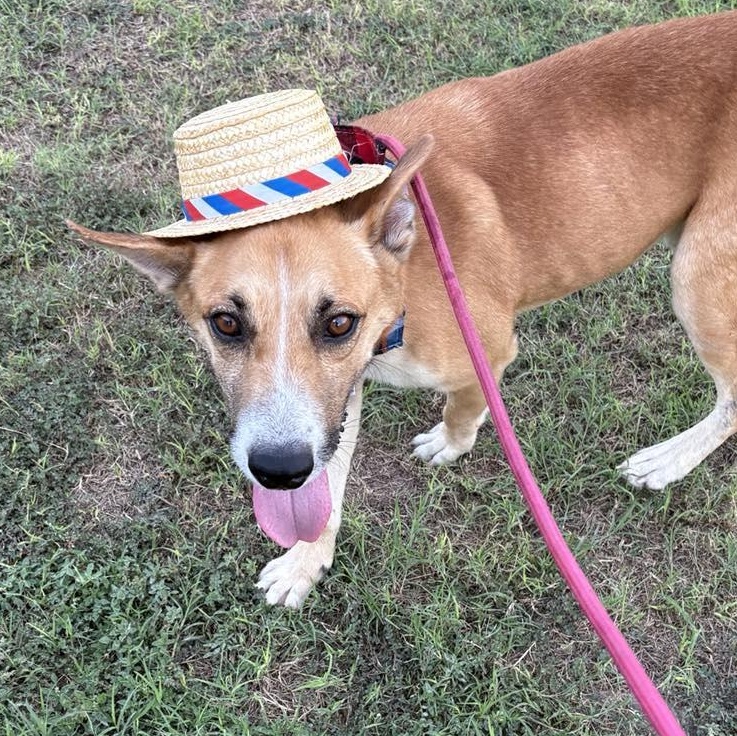 Flako — thumbnail 3