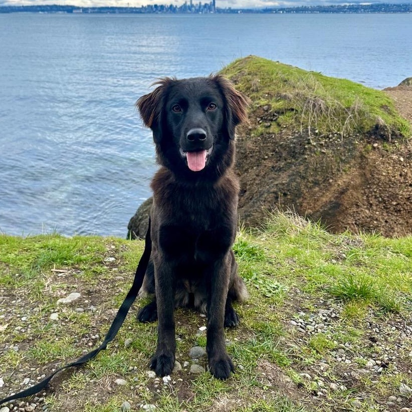 Raisin — thumbnail 5