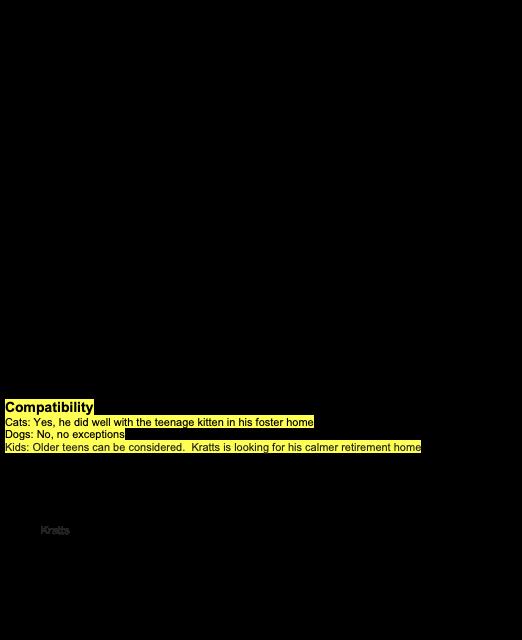 Enlarge Kratts, a ADOPTABLE Domestic Long Hair in Nanaimo, BC image 3/3