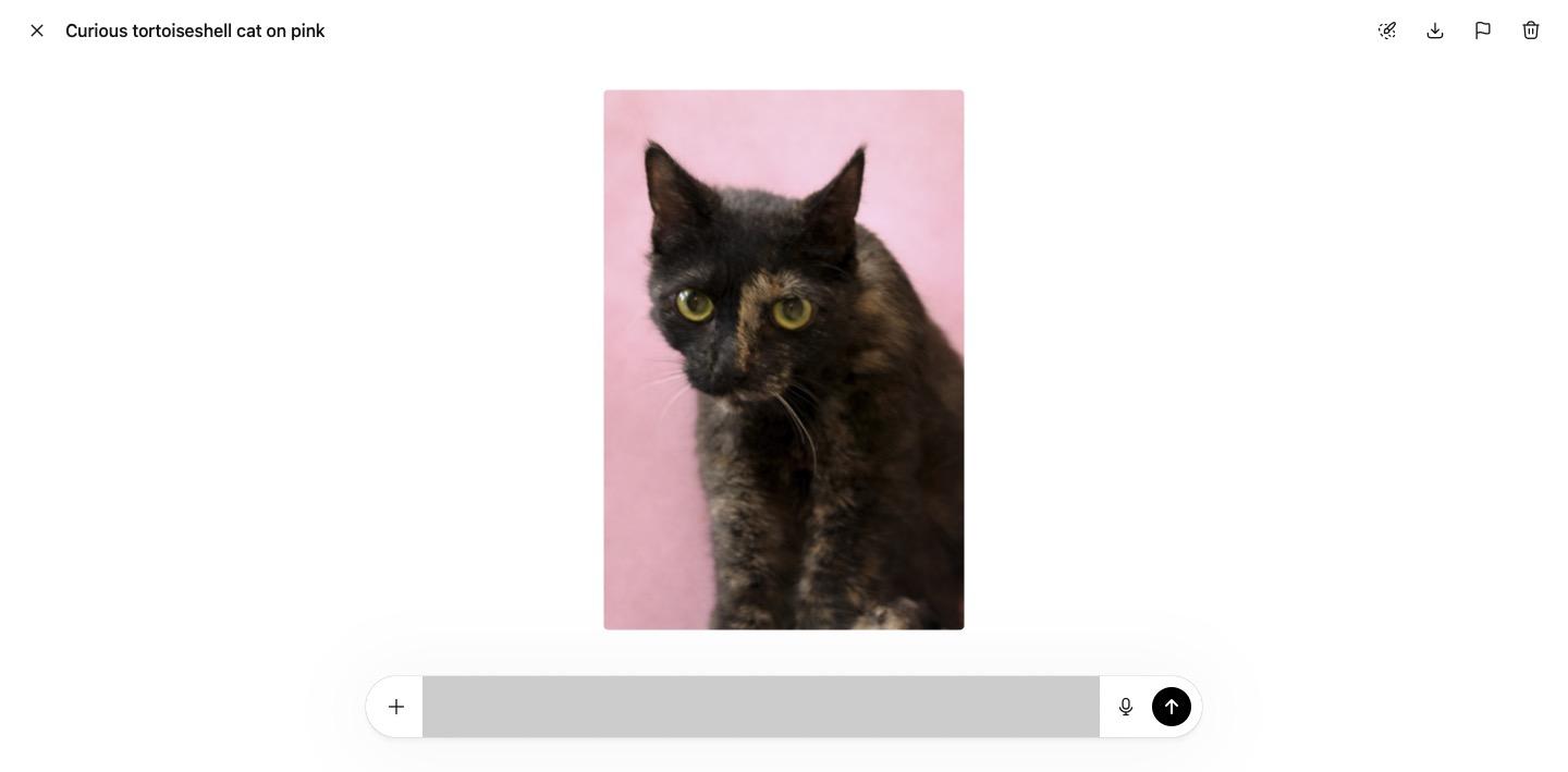 NINA. , a ADOPTABLE Tortoiseshell in Waldorf, MD image 2/3