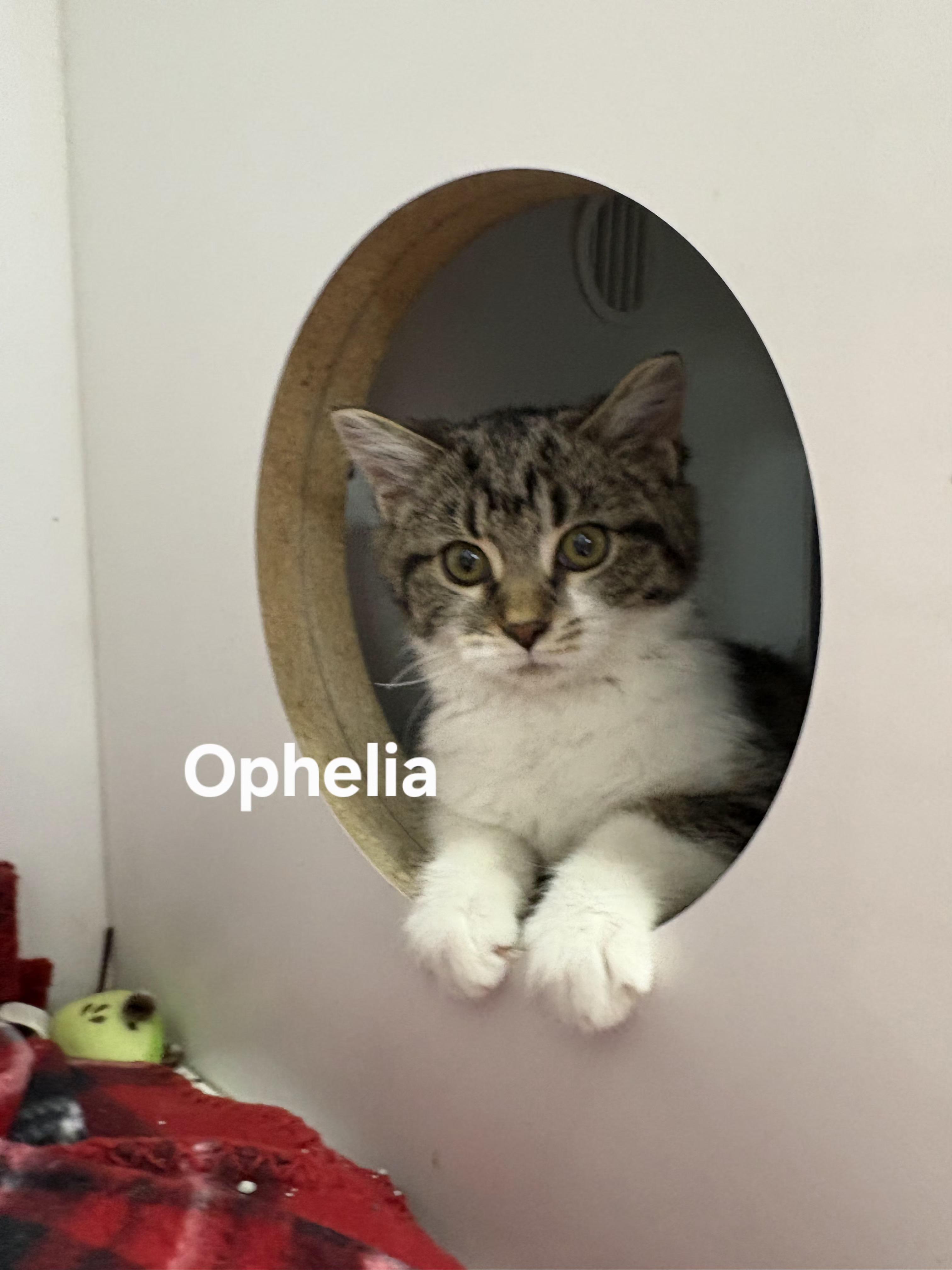 Ophelia