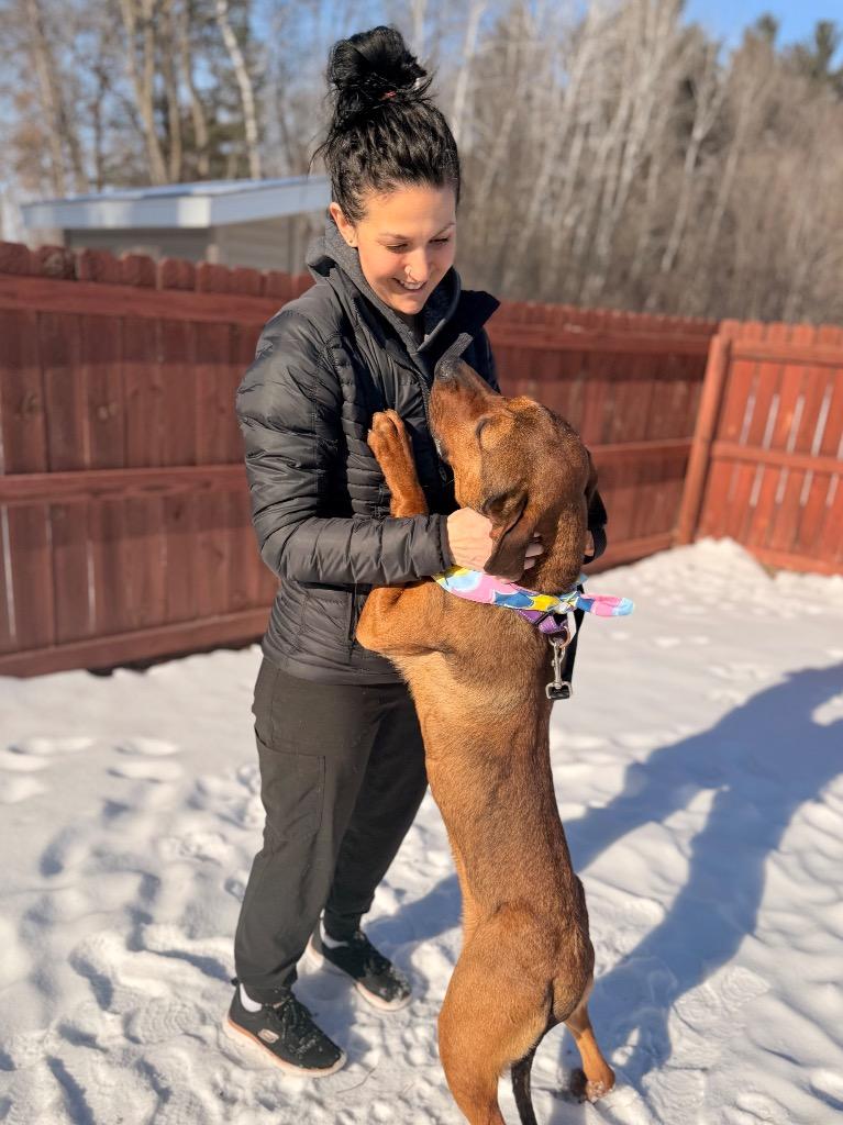 Enlarge Daisy, a Adoptable mixed breed in Menomonie, WI image 2/6