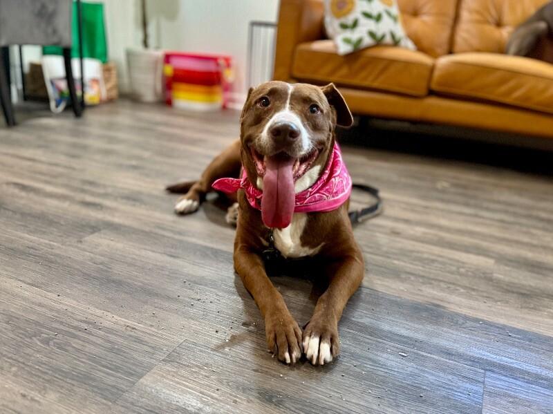 Adamma All Love And thumbnail 2