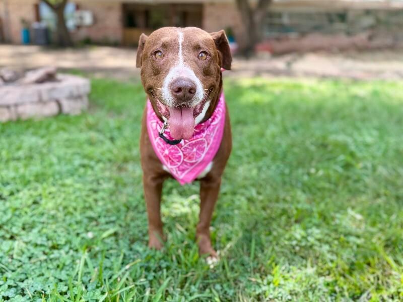 Adamma All Love And thumbnail 3