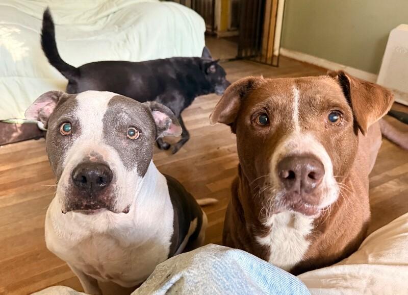 Adamma All Love And thumbnail 5