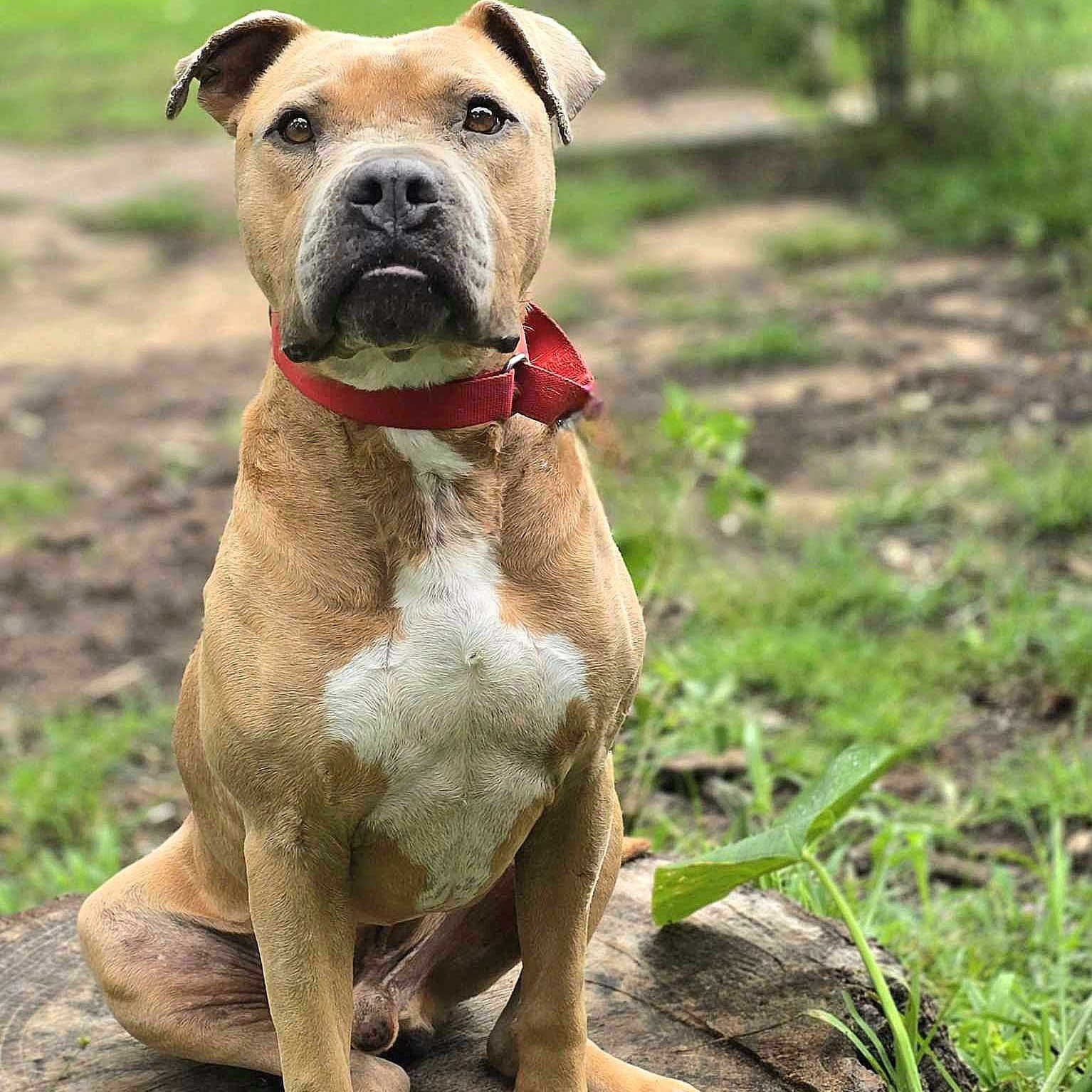 Mateo 3