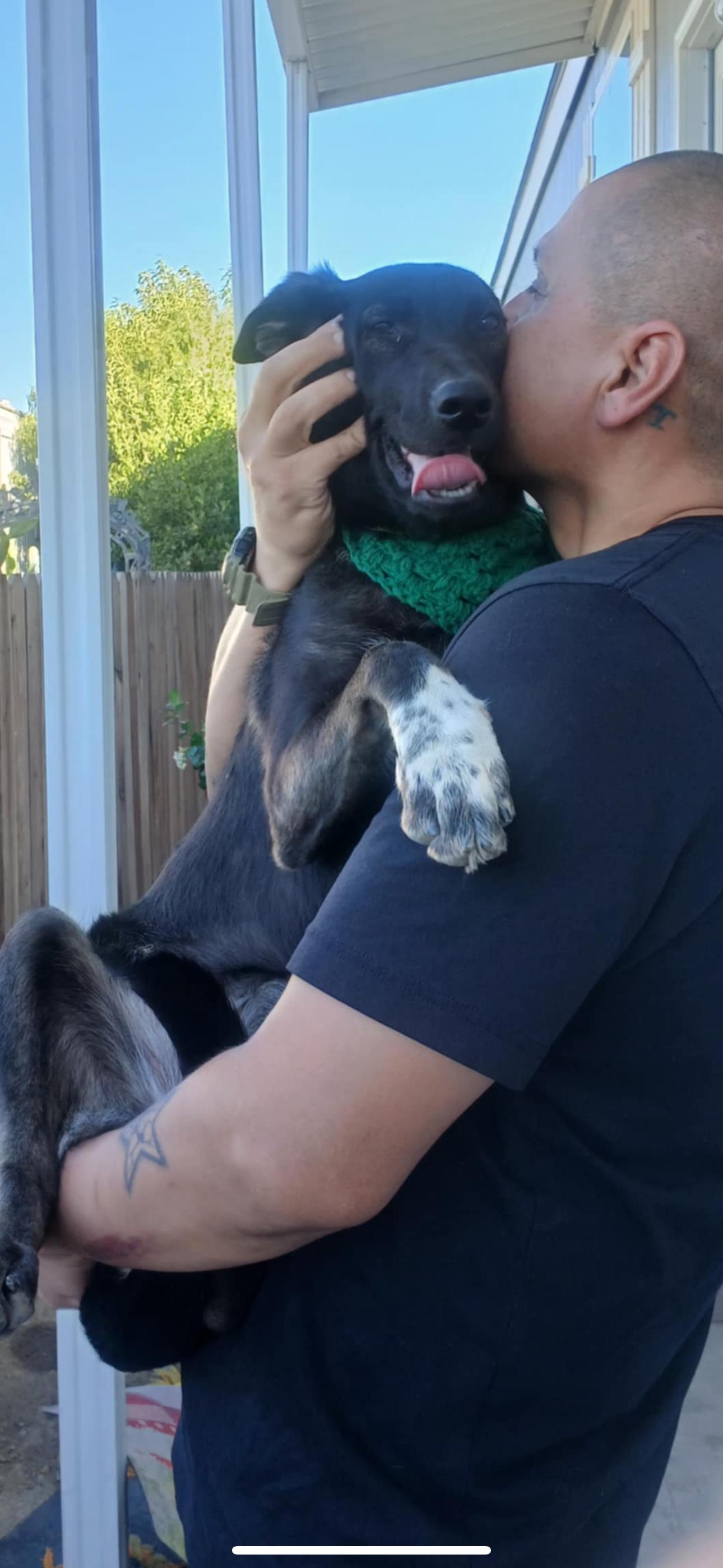 Bonnie, a Adoptable mixed breed in Cottonwood, CA image 1/5