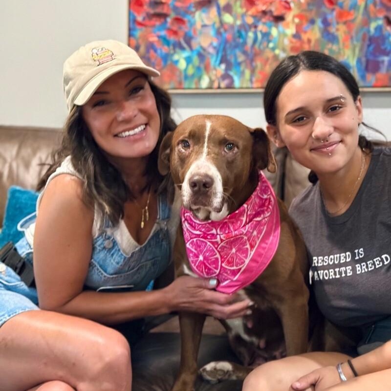 Adamma all love and gentle company — thumbnail 5