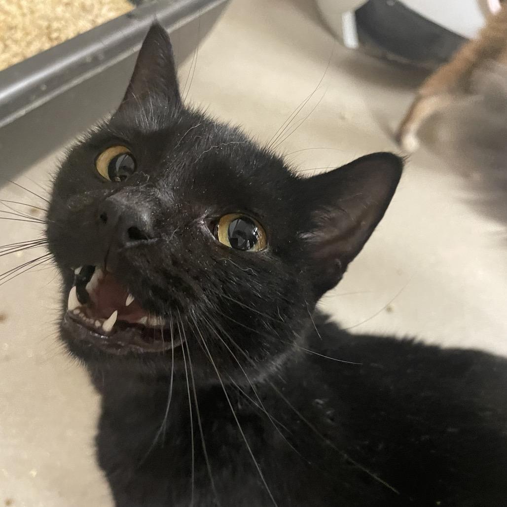 Stormy Reign thumbnail 4