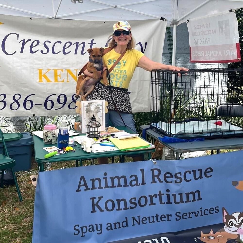 Enlarge Orchid, a Adoptable mixed breed in Crescent City, FL image 6/6