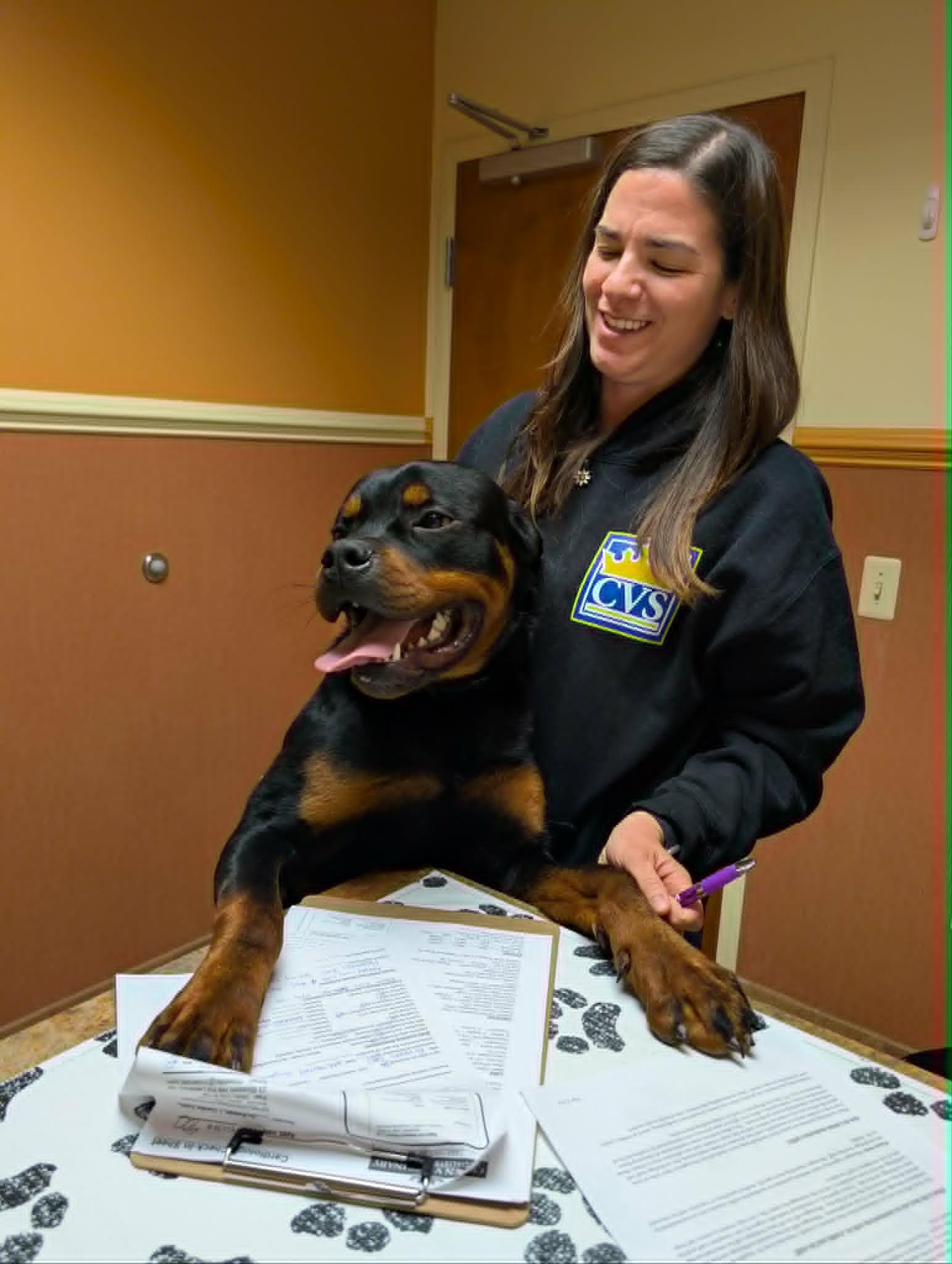 Negan, a ADOPTABLE Rottweiler in Perkasie, PA image 5/6