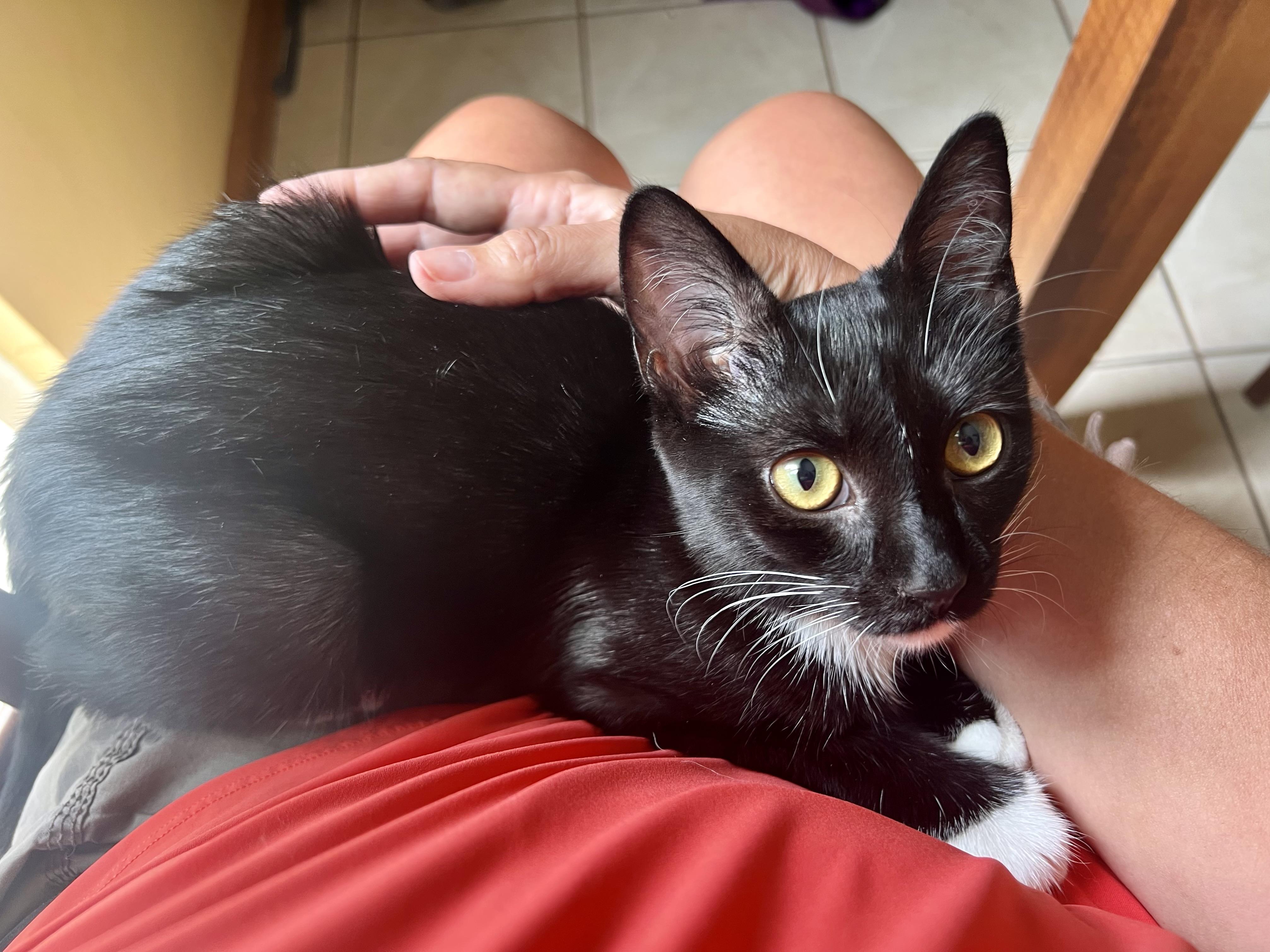 Pixie