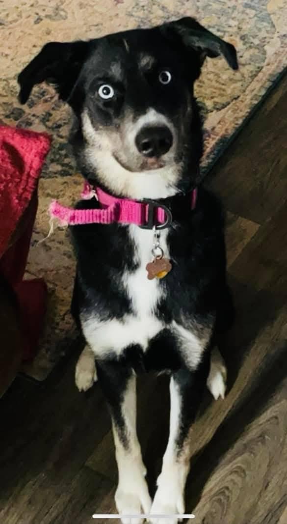 Lucy - Full of love and energy