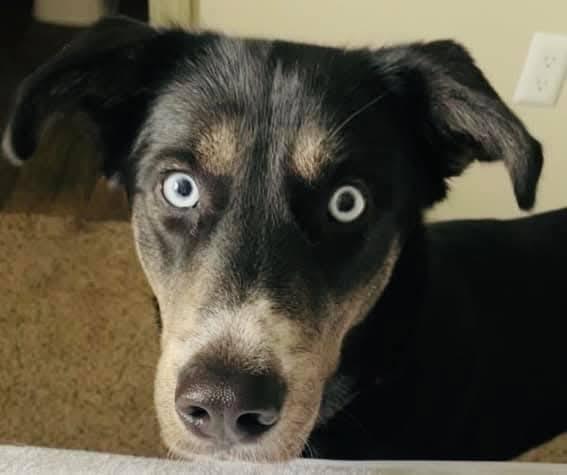 Lucy - Full of love and energy