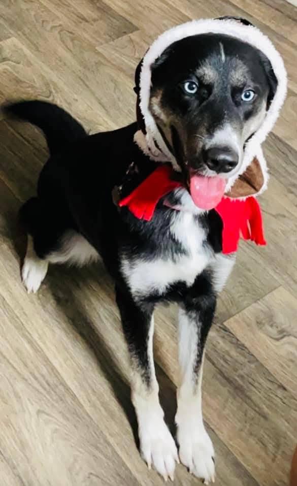 Lucy - Full of love and energy