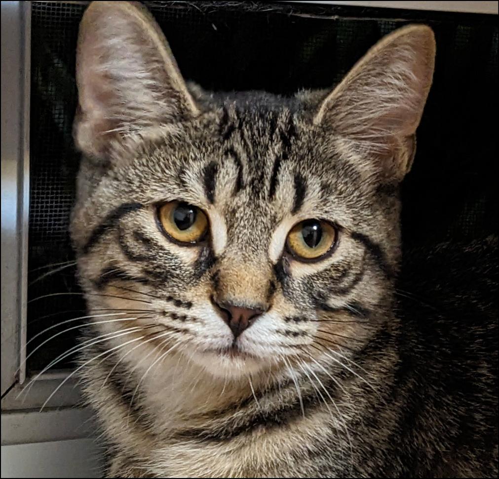 Timmy @ Livonia PetSmart