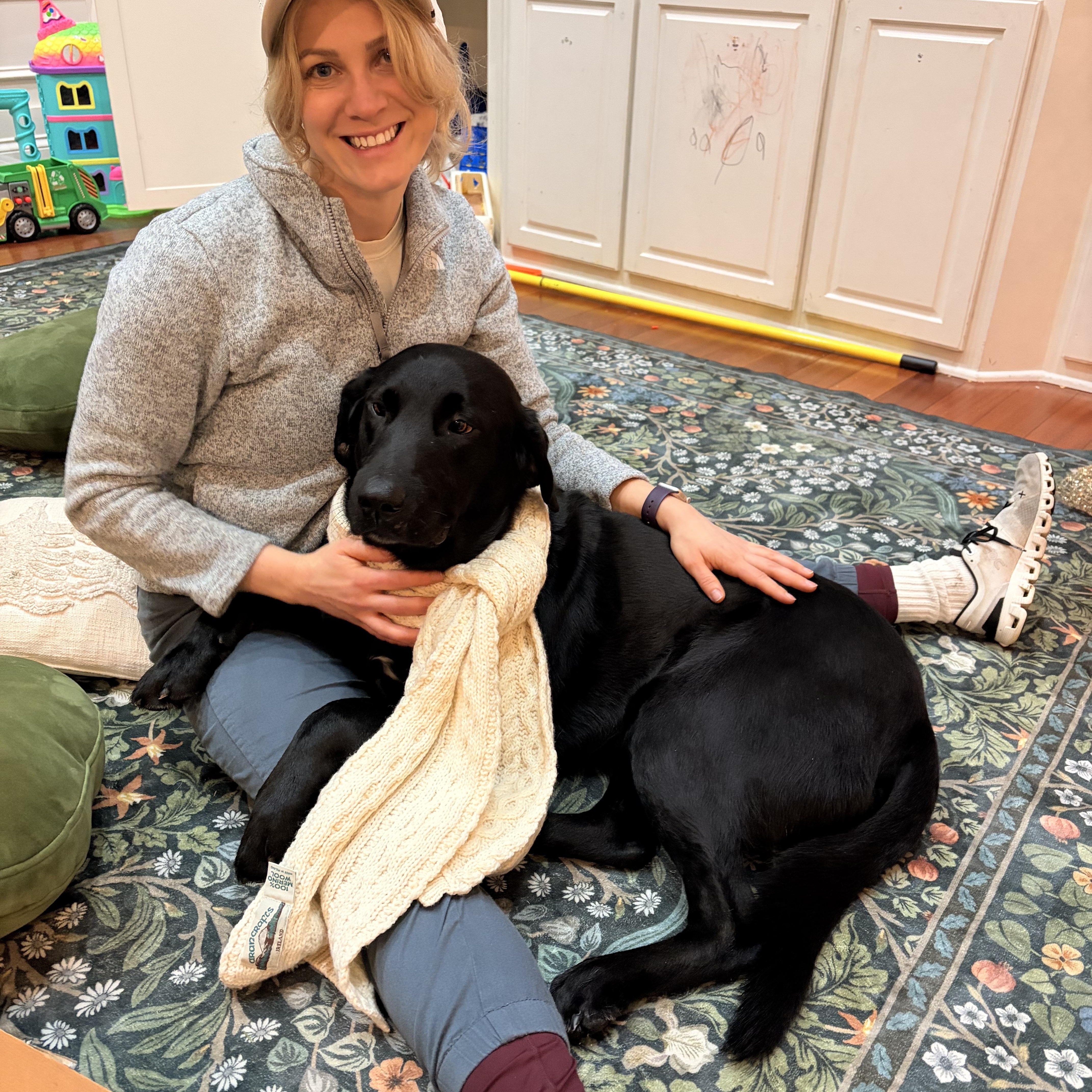Enlarge Jefferson, a Adoptable Labrador Retriever in Indianapolis, IN image 4/4