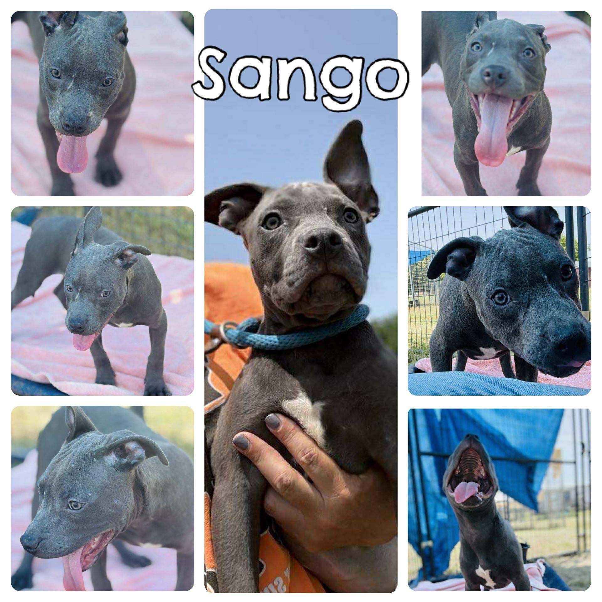Sango photo 3