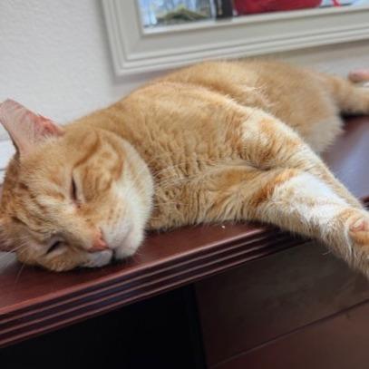 Charles — thumbnail 3