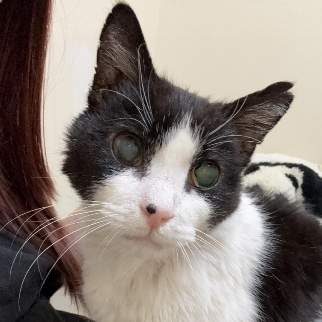 Thomas — thumbnail 3