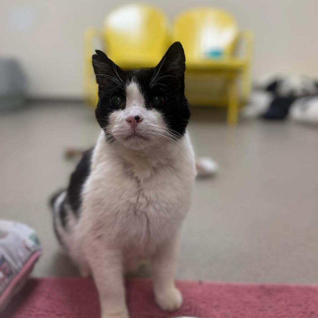 Thomas — thumbnail 4