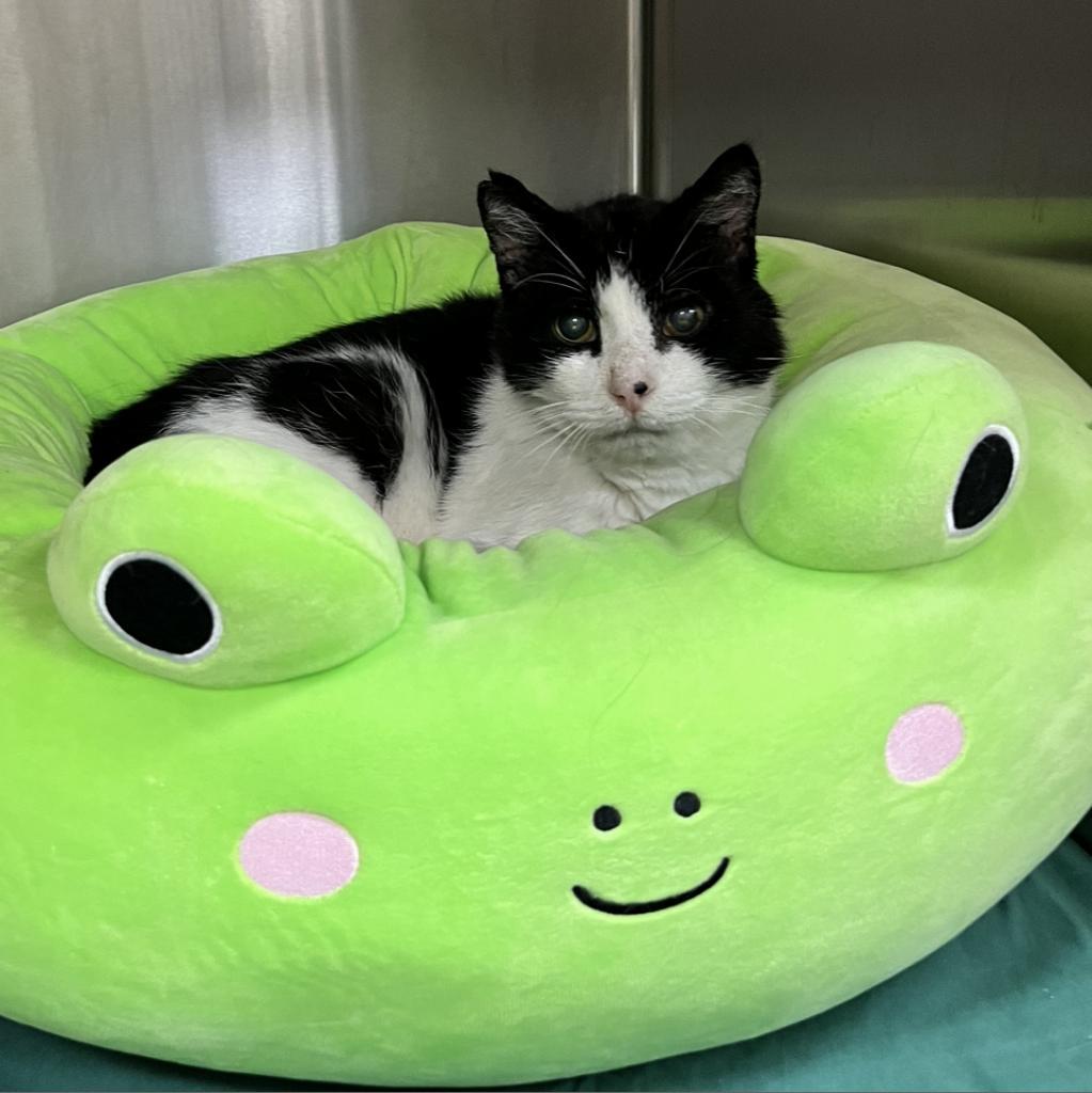 Thomas — thumbnail 5